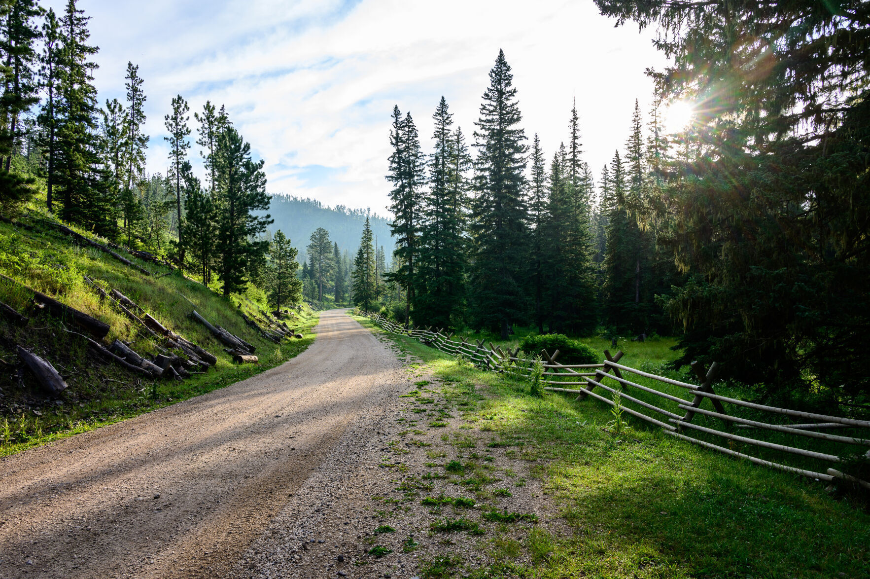 Bonnie_Law-Black_Hills.jpg